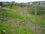 Construction of new forestry fencing - click to enlarge