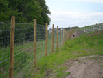 Construction of new forestry fencing - click to enlarge