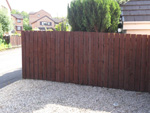 New domestic fencing - click to enlarge